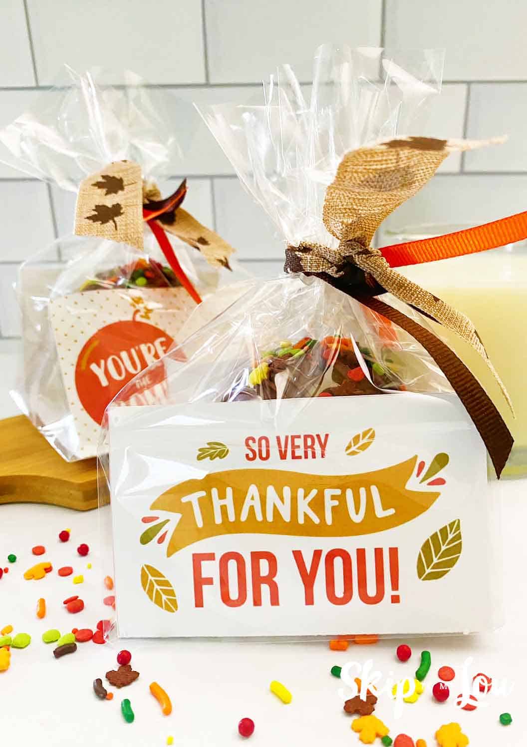 fall theme cocoa bomb