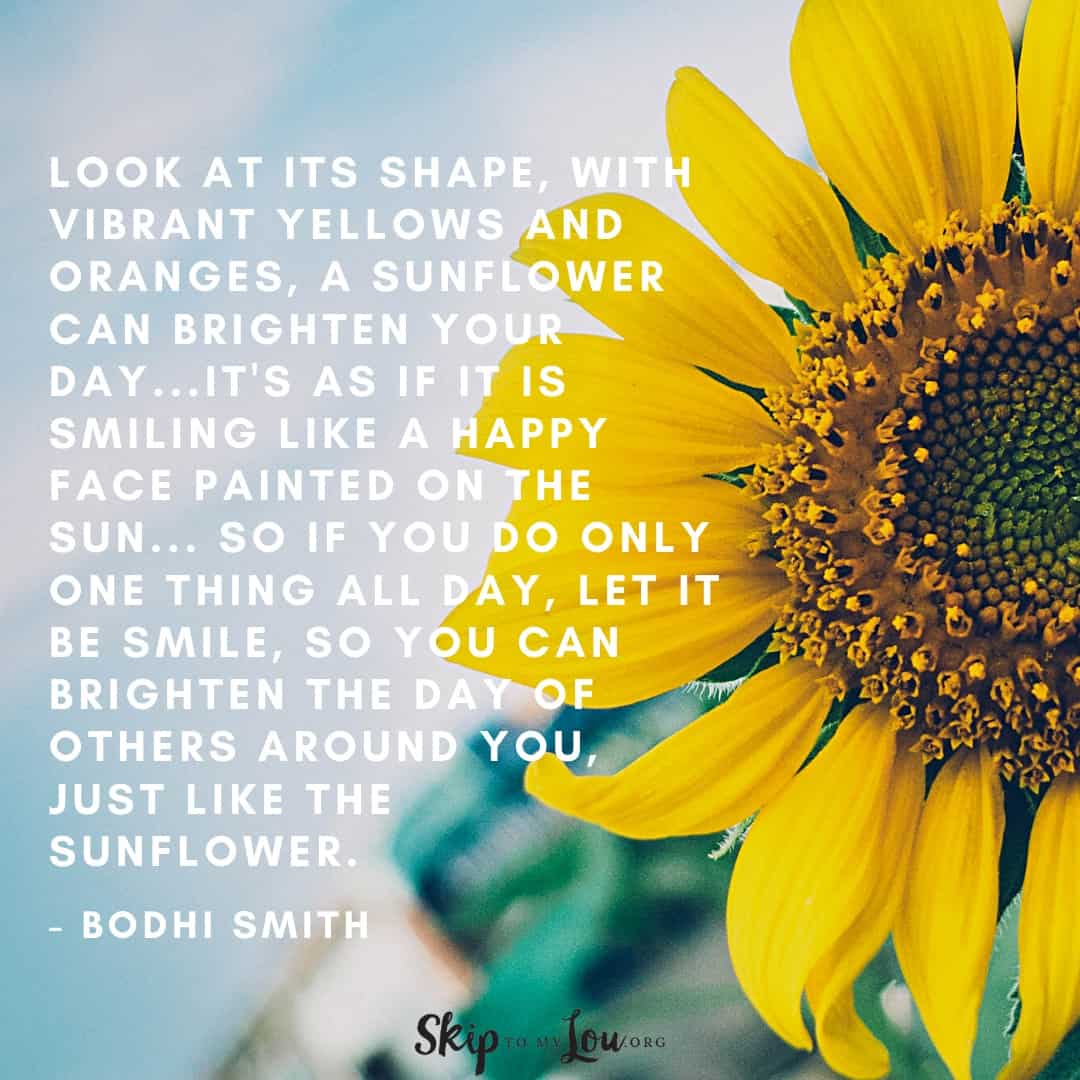look at its shape sunflower quote Bodhi Smith