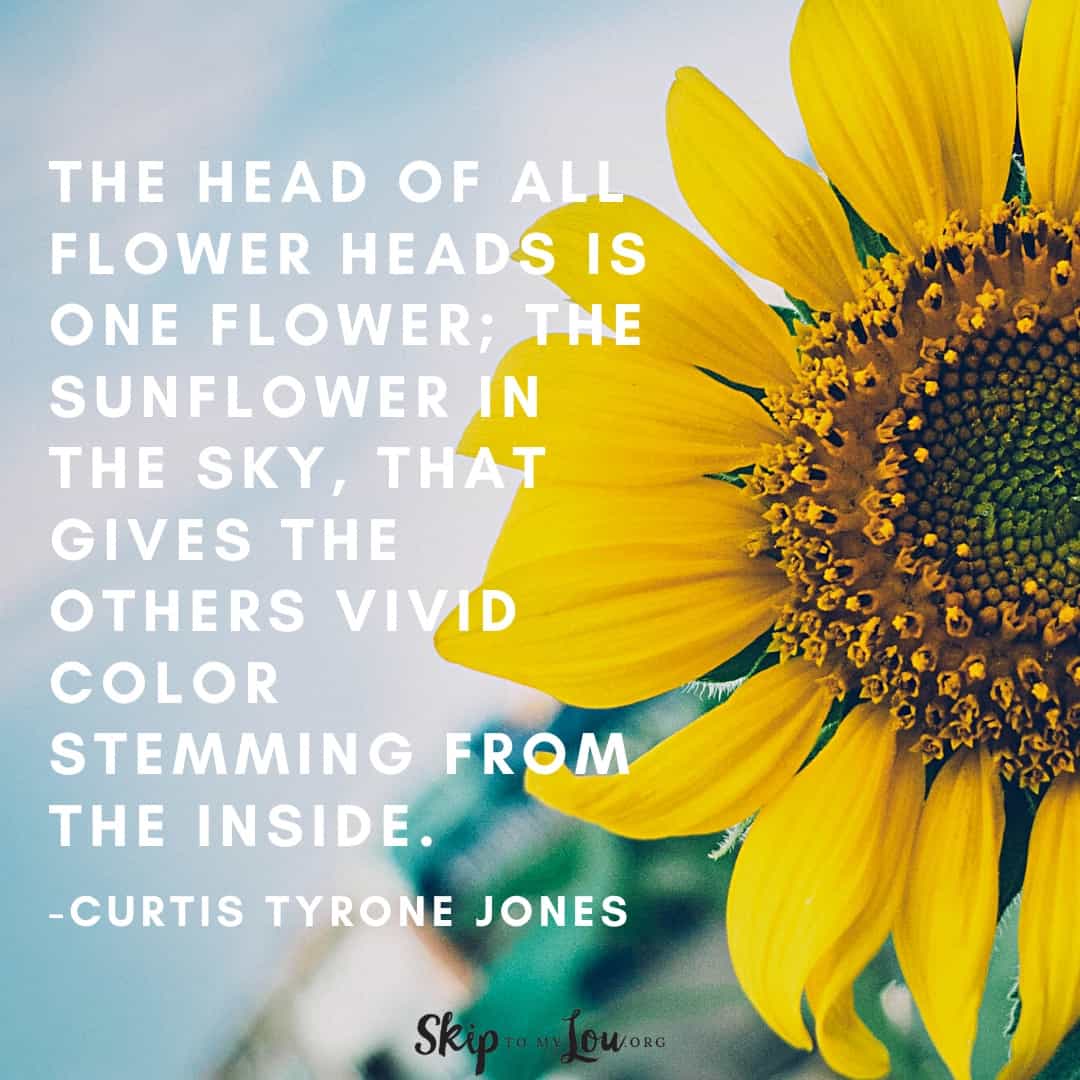 the head of all flower heads is one flower sunflower quote Curtis Tyrone Jones