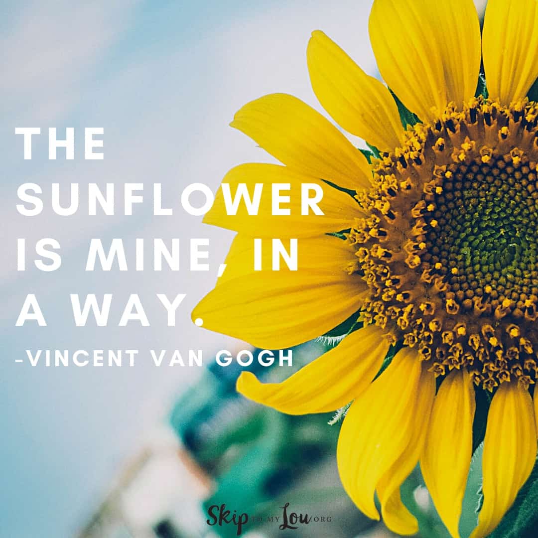 sunflower quote Vincent Van Gogh