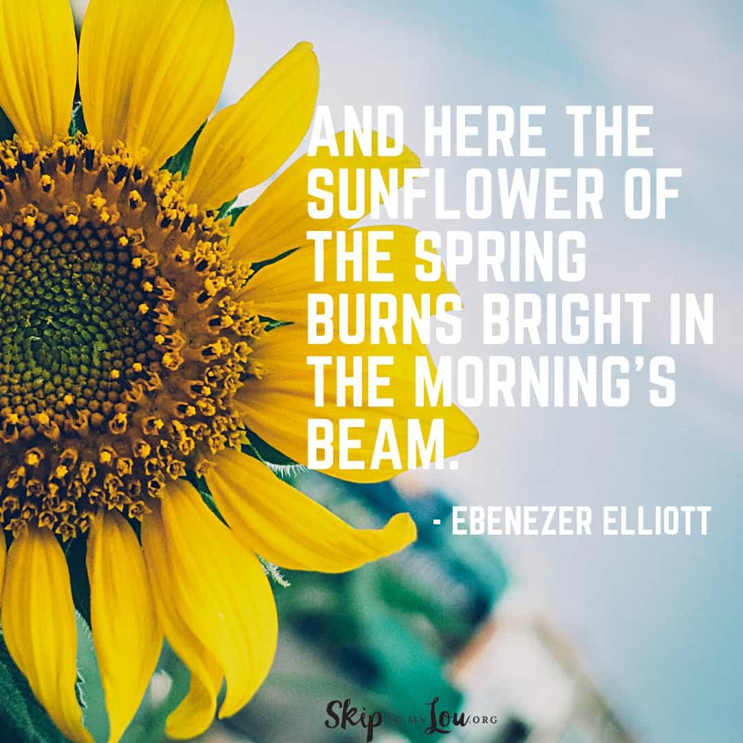 sunflower quote Ebenezer Elliott