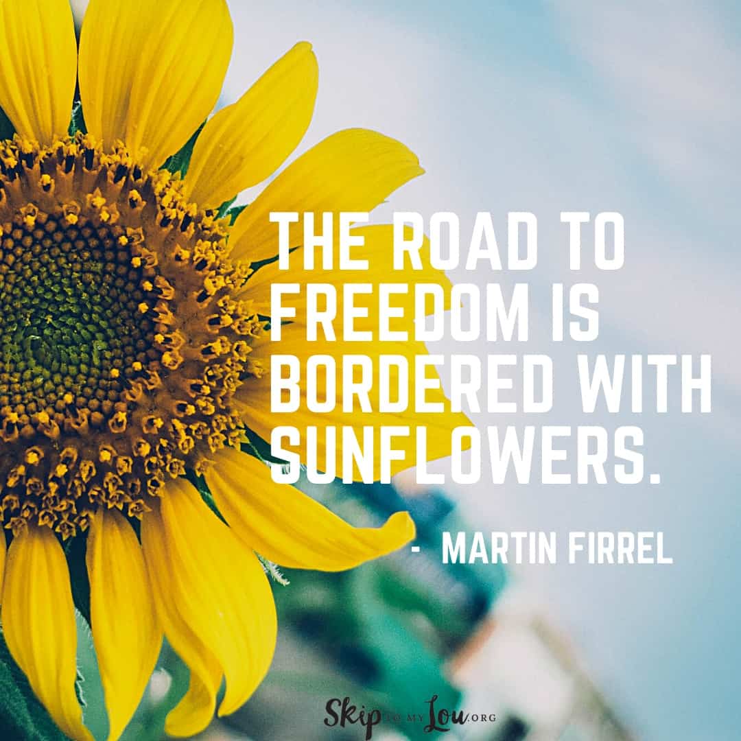 the road to freedom sunflower quote Martin Firrel