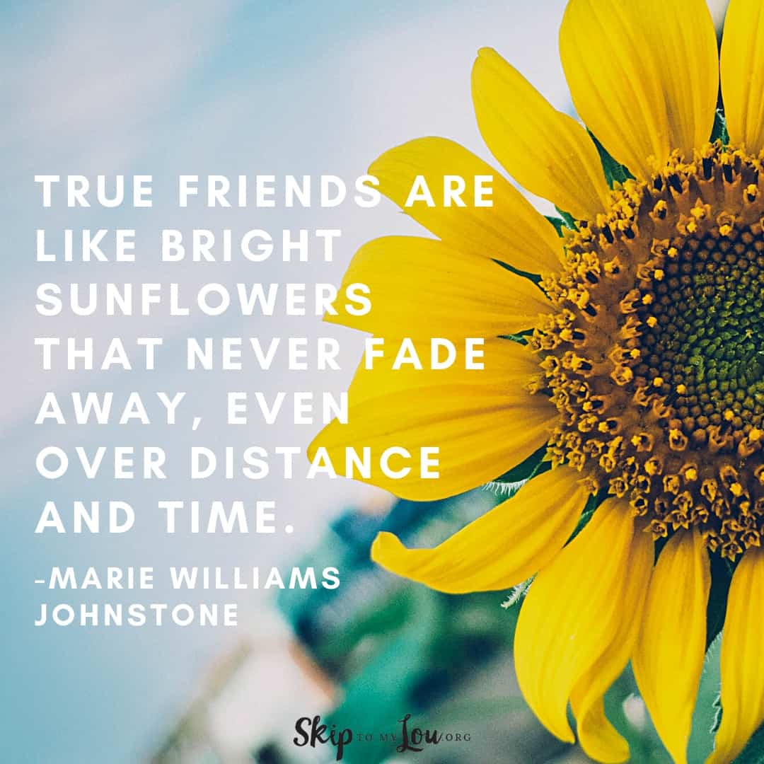 True friends are like bright sunflowers quote Marie Williams Johnstone