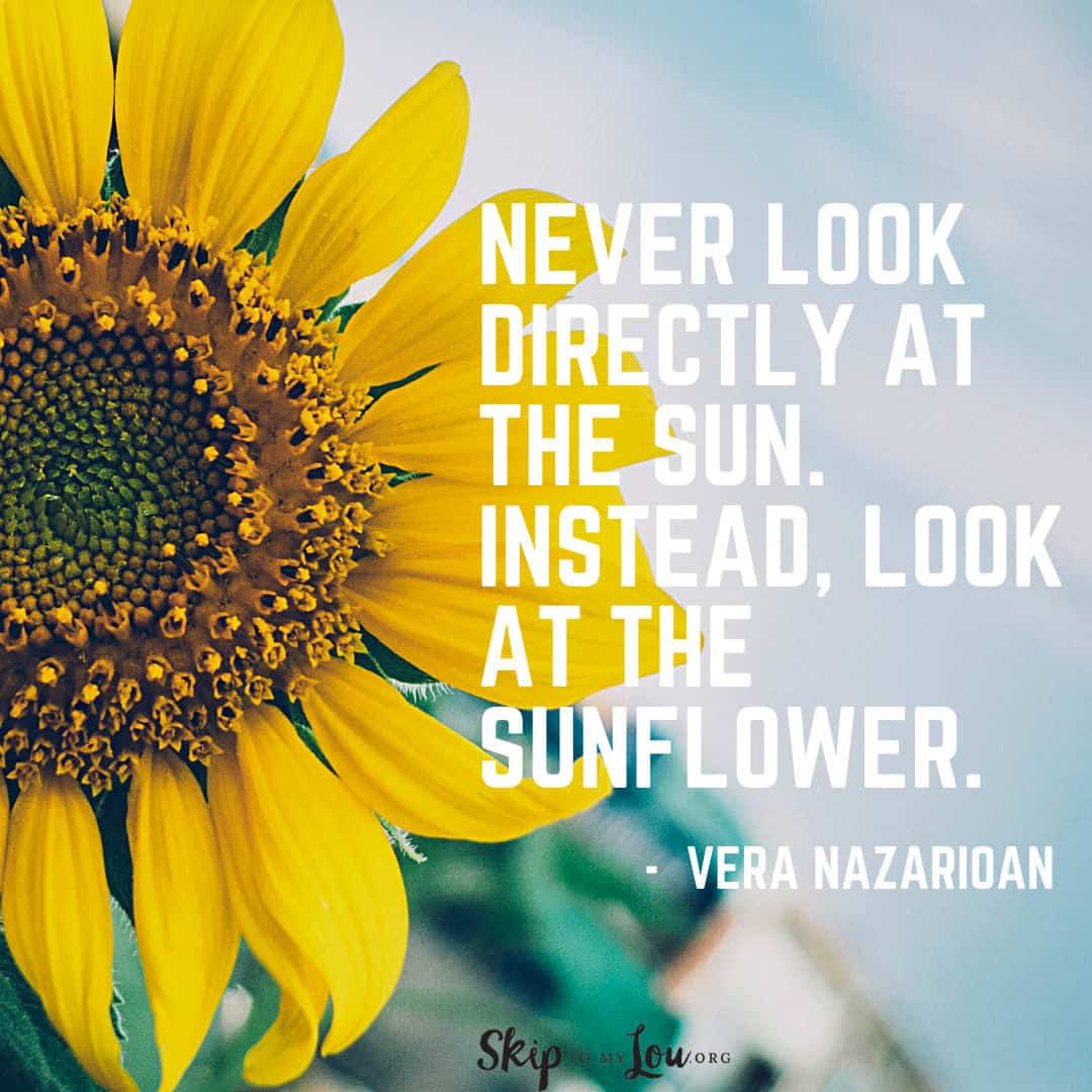 never look at the sun sunflower quote by Nazarioan
