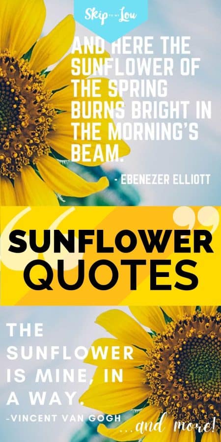 sunflower quotes PIN
