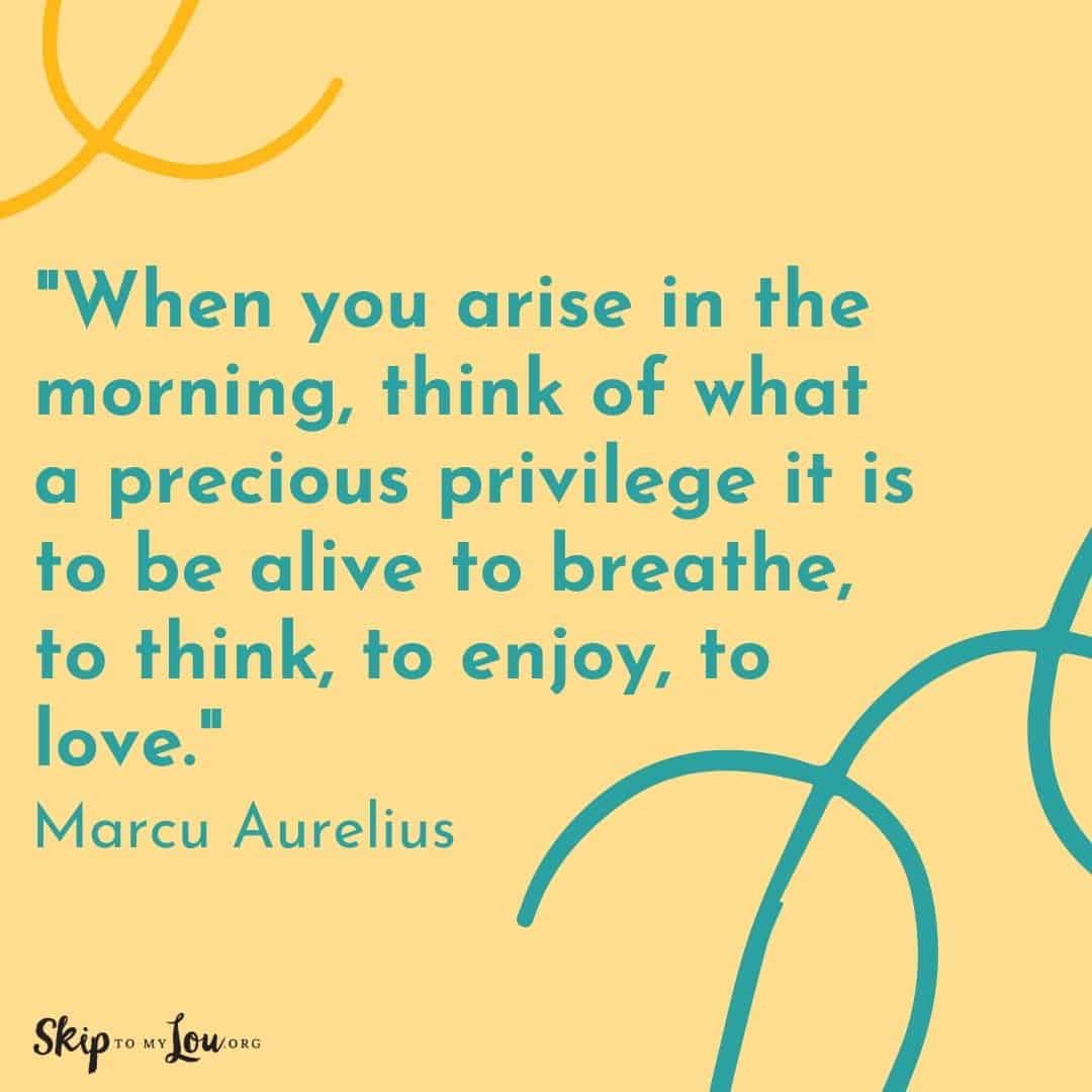 Good Vibes quotes When you arise in the morning, think of what a precious privilege it is to be alive to breathe, to think, to enjoy, to love. Marcu Aurelius