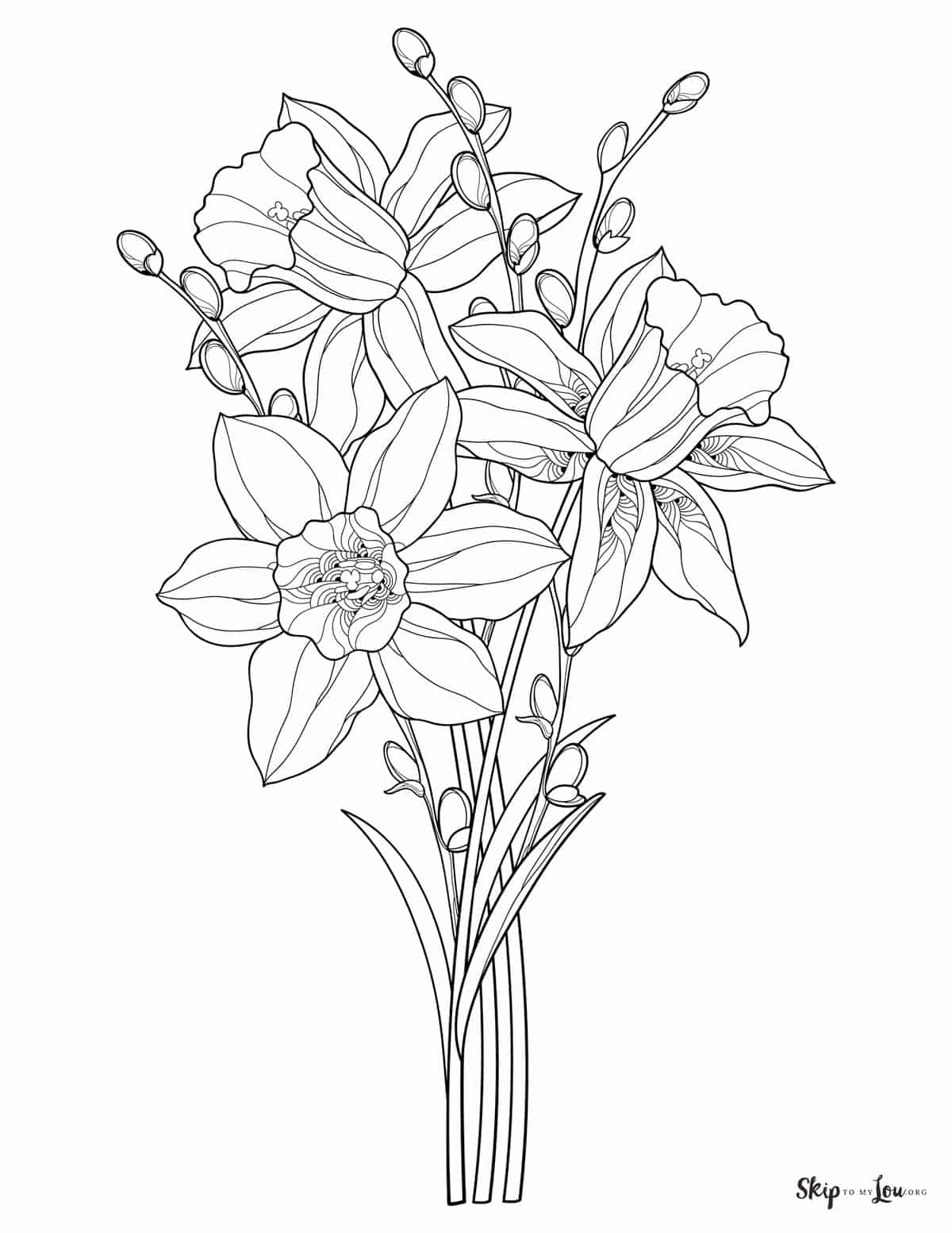 daffodils