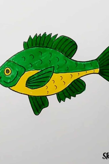 fish drawing