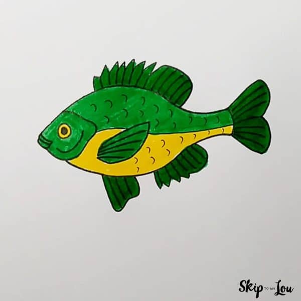 fish drawing