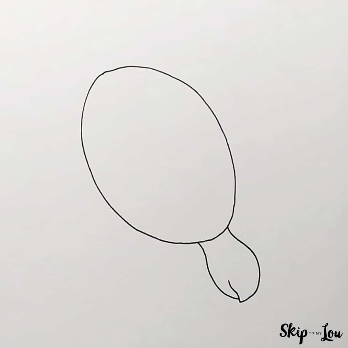 First step for drawing a sea turtle is drawing and oval for the body and heard
