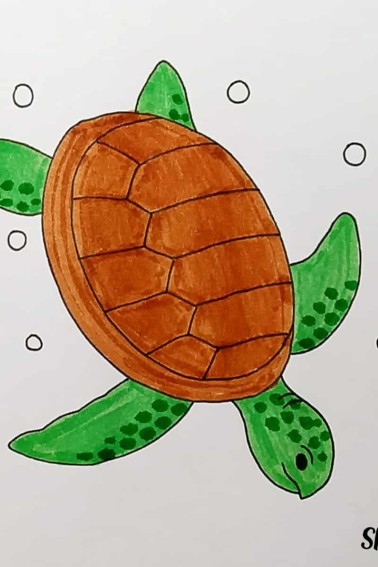 last add shading to your step by step sea turtle drawing