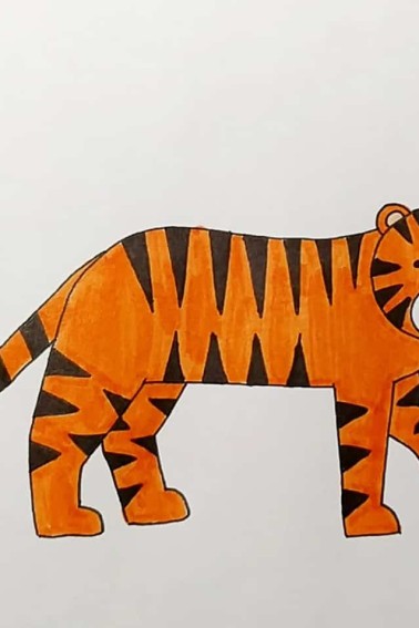 time to color this how to draw a tiger
