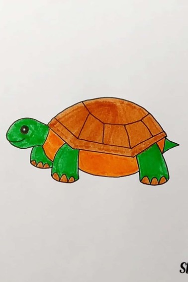last step color your turtle drawing