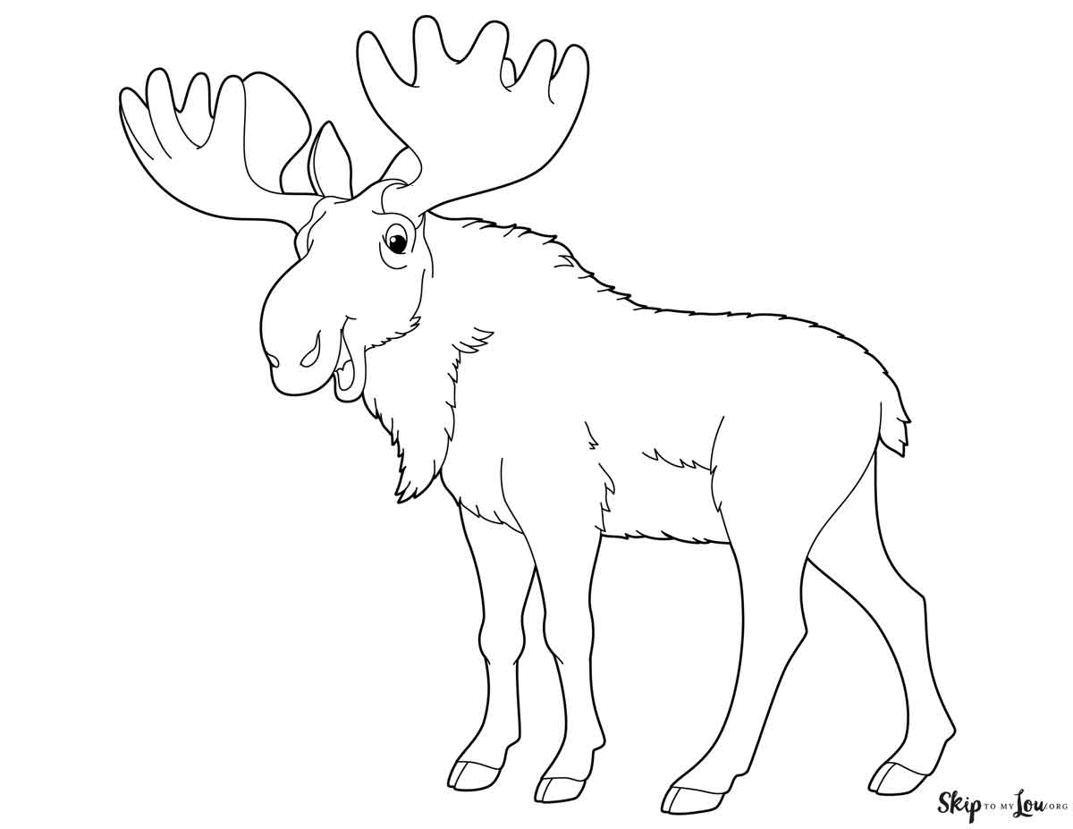 moose coloring page large antlers