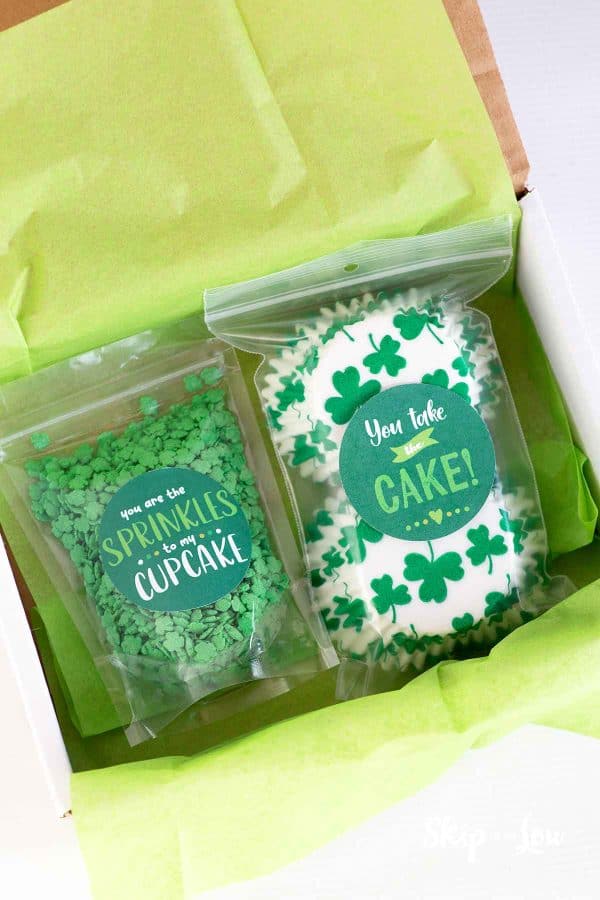 St. Patrick's day diy gift package