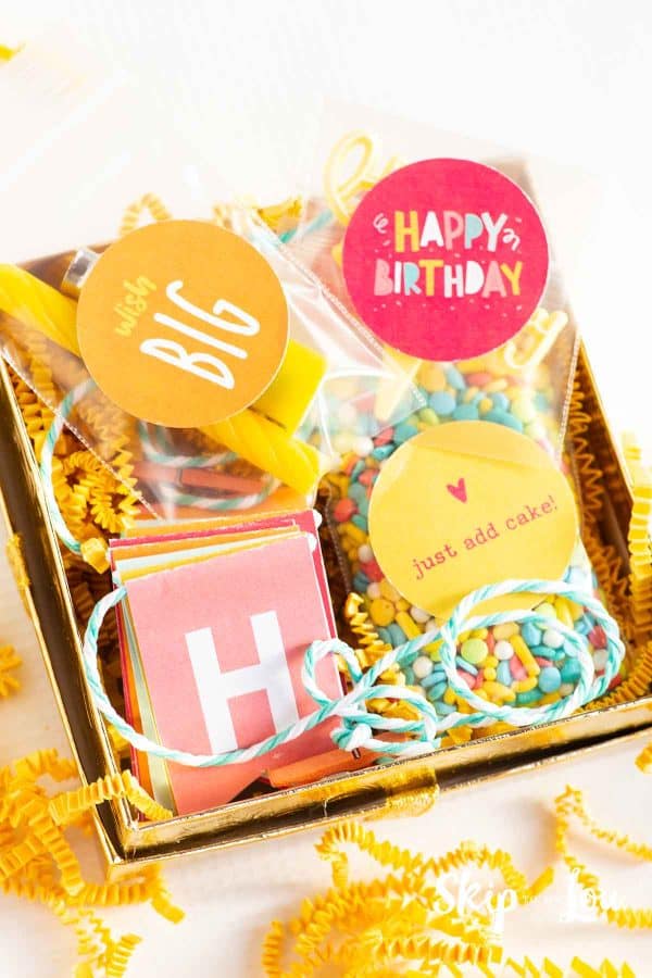 A tiny birthday party in a box with a Happy Birthday banner folded neatly, a bag of colorful cake sprinkles, a Happy Birthday cake topper and a candle and lighter by Skip to my Lou.
