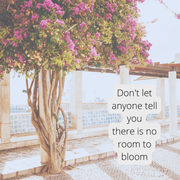 Don't let anyone tell you there is no room to bloom