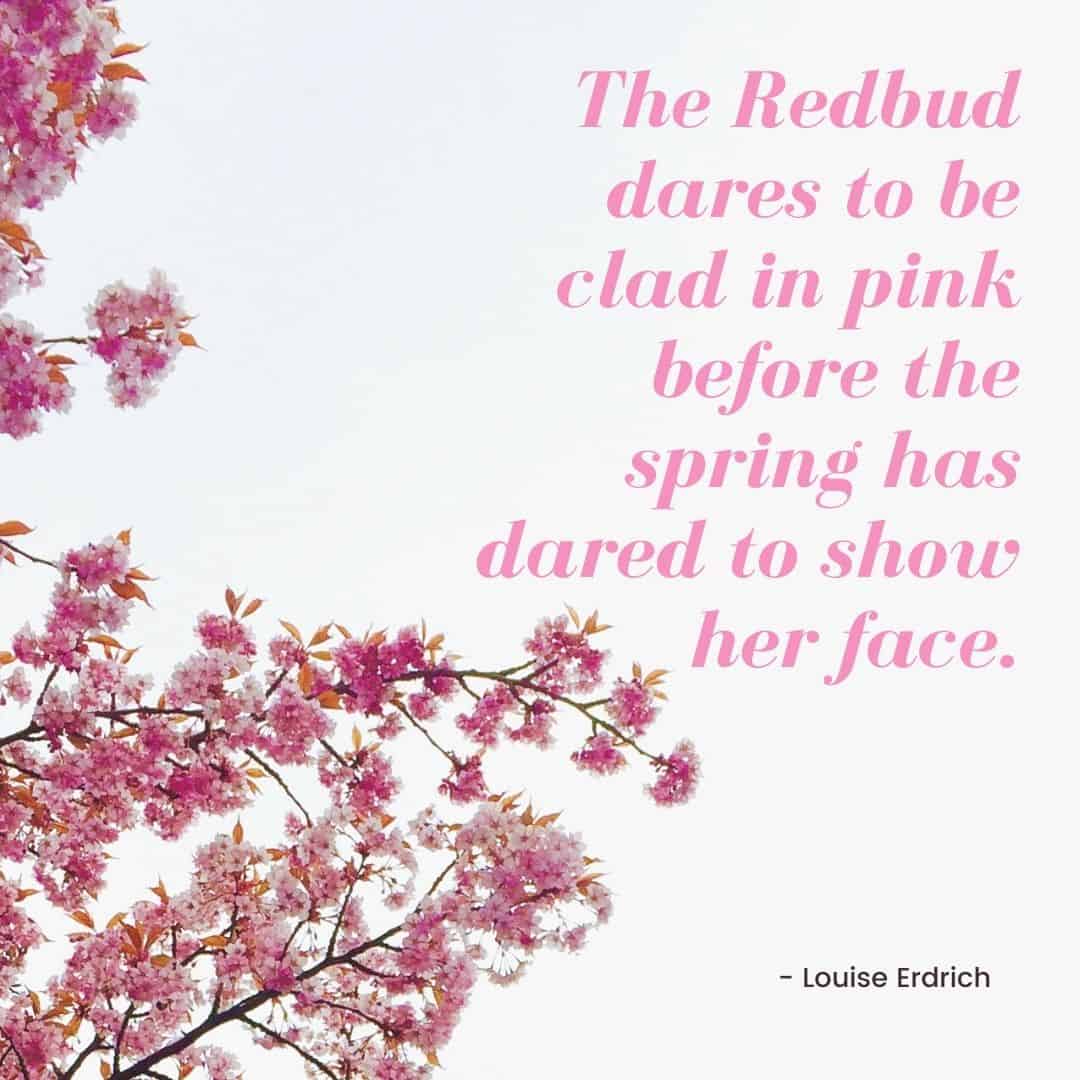 Louise Erdrich quote
