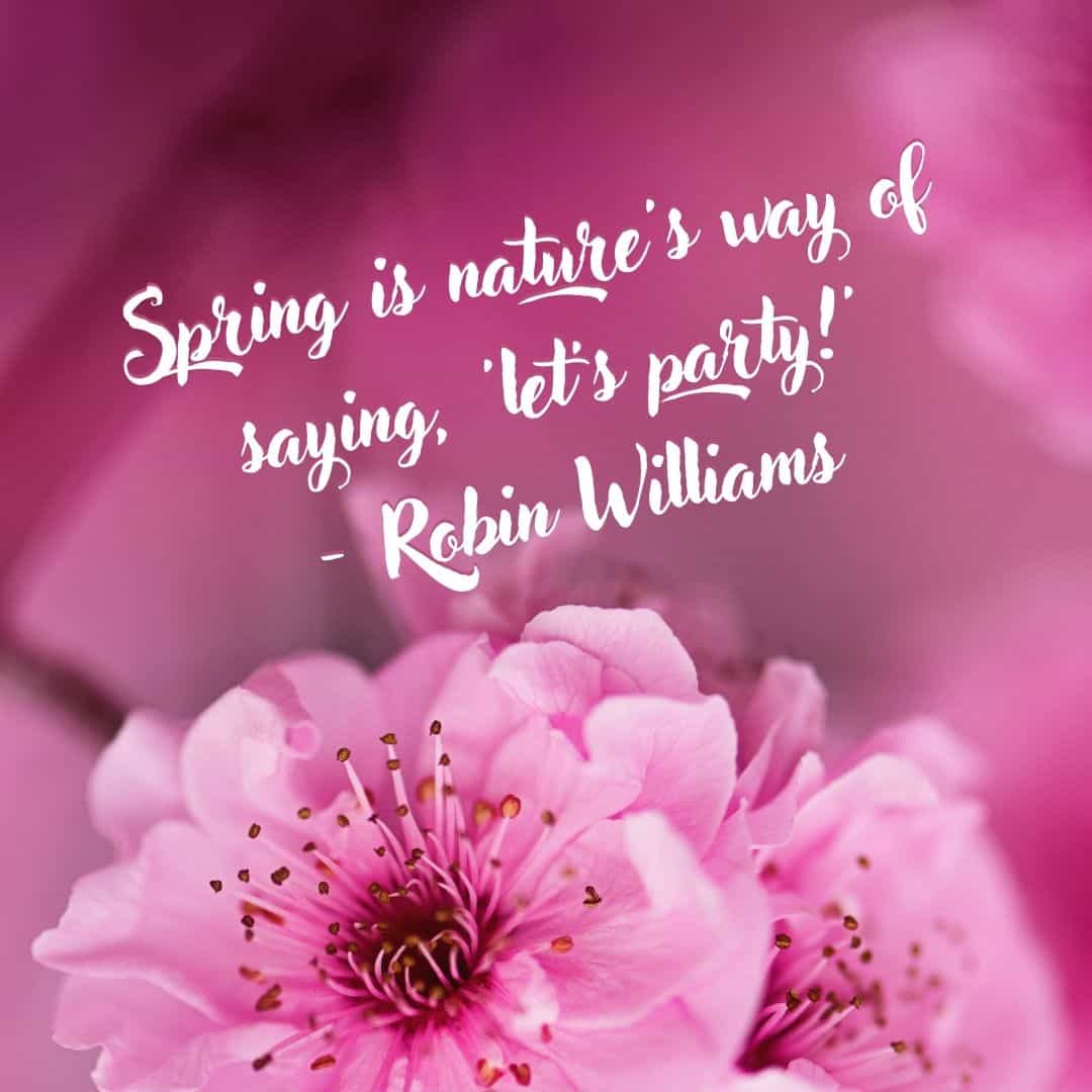 spring is natures way of saying lets party Spring Quote