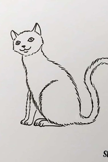add fur details to cat drawing