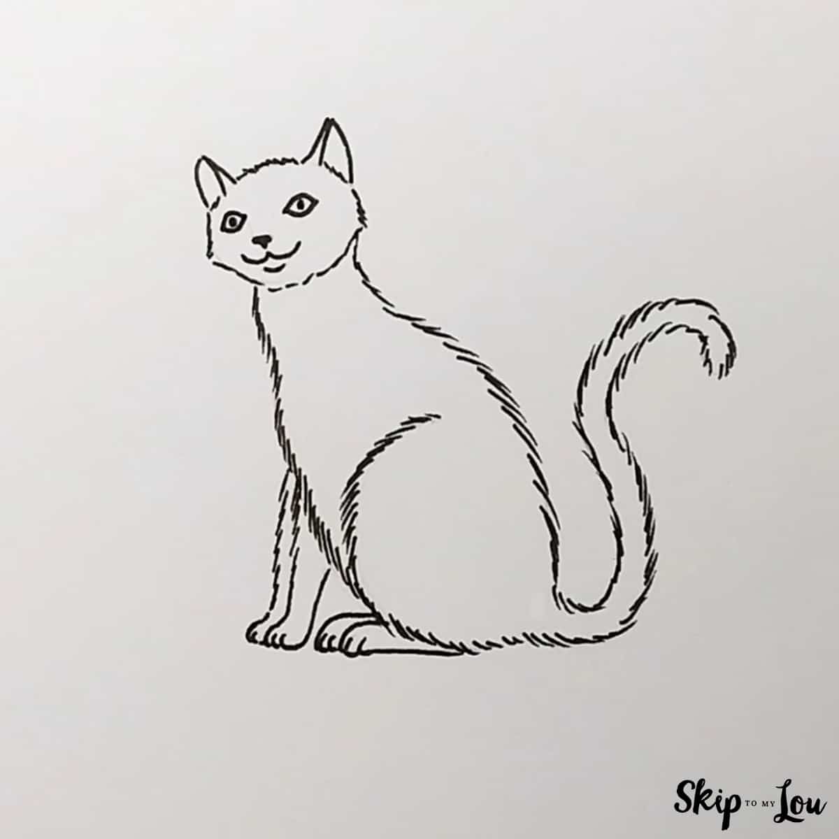 add fur details to cat drawing
