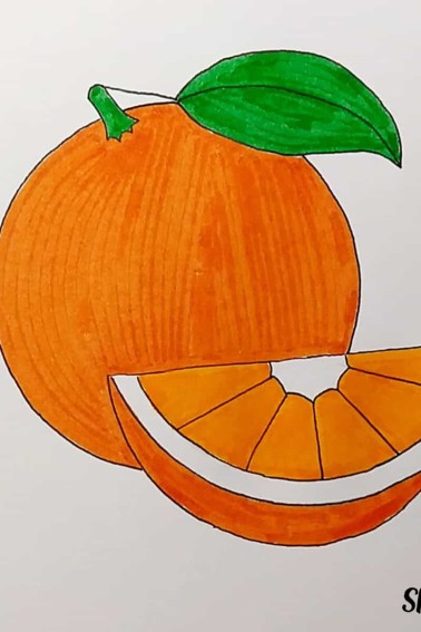 color orange, stem green, and leaf green