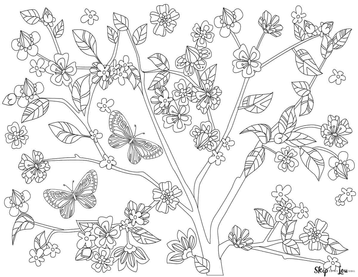 Spring coloring page with butterflies and flowering branch