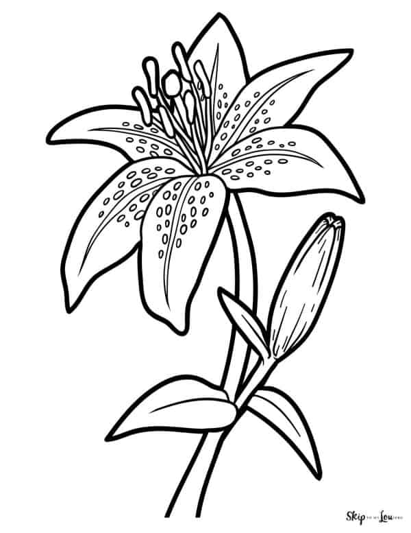 Spring coloring page flower
