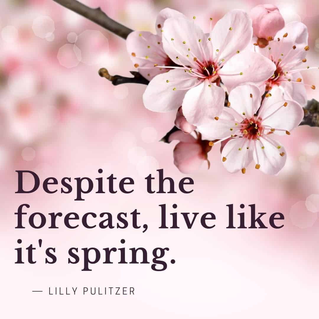 live like it is spring quote