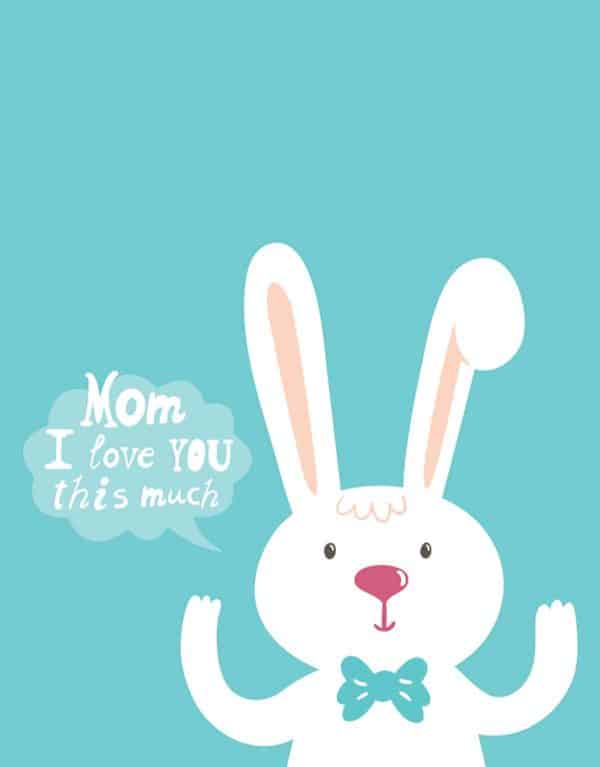 Bunny saying mom I love you this much