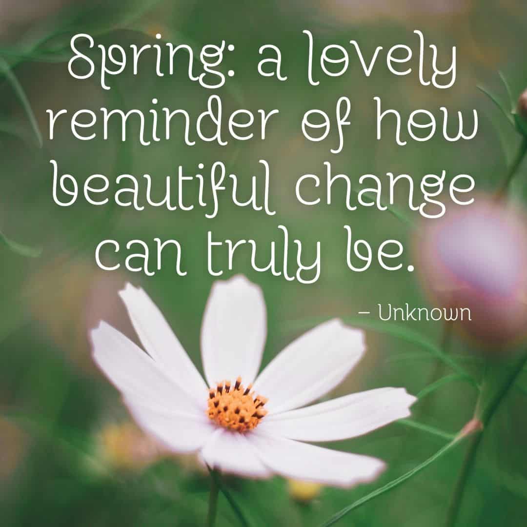 spring a lovely reminder of how beautiful change can truly be