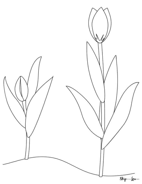 Spring coloring page tulip growing