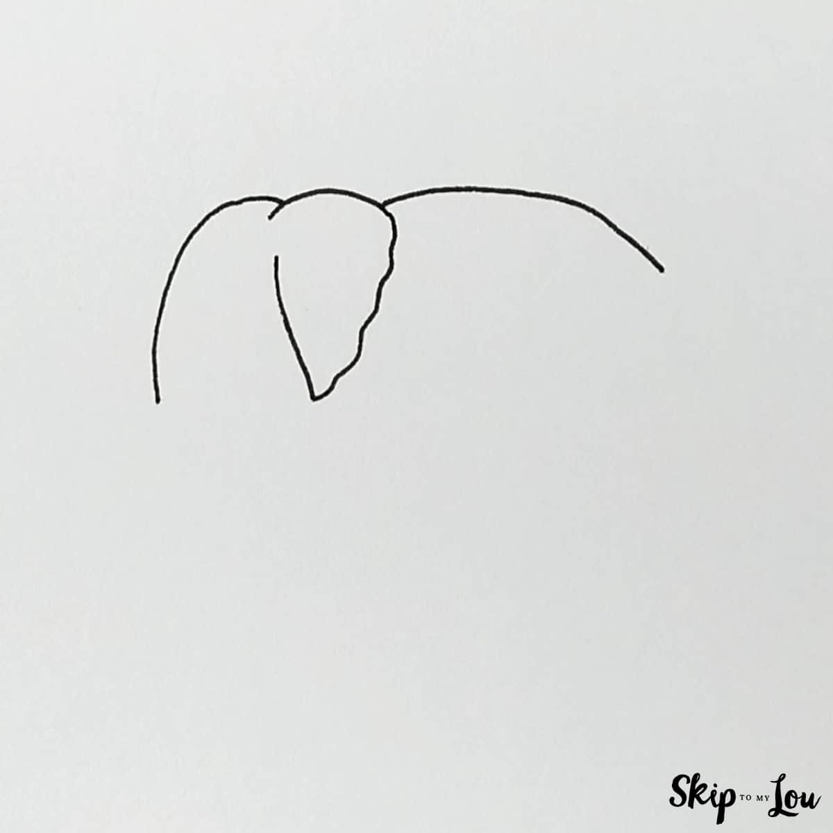 begin head of elephant, add ear and curved line for upper back elephant drawing easy
