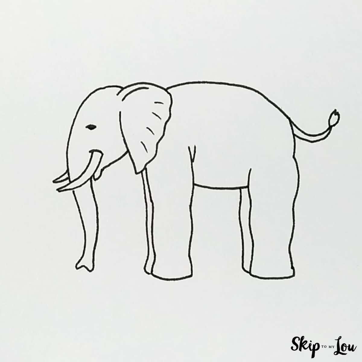add curved line for bottom of belly, back legs, and tail elephant drawing