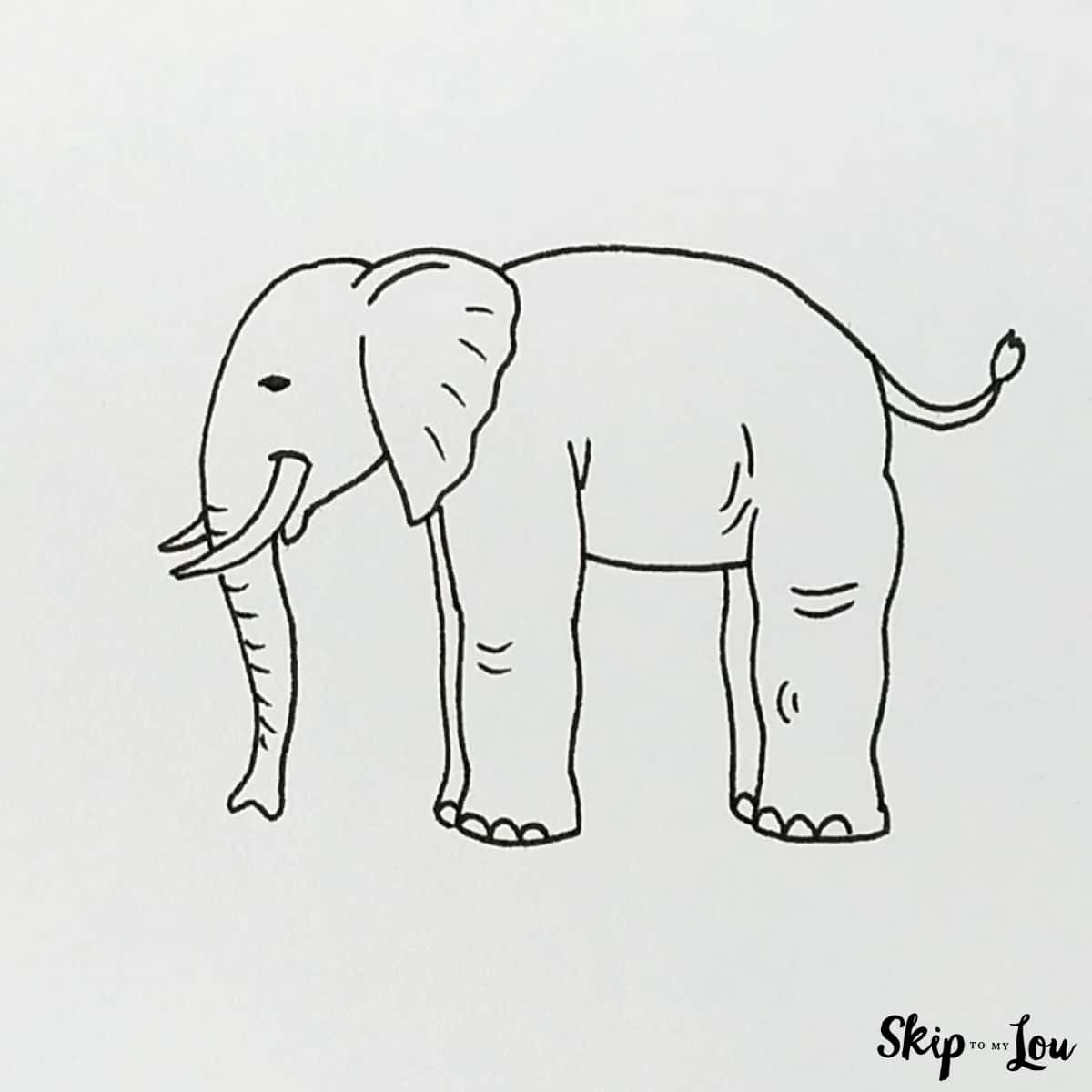 add short line to trunk, legs, and belly to detail the skin elephant drawing easy