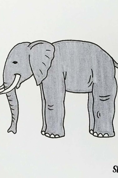 color elephant grey how to draw an elephant