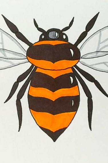 color the bee