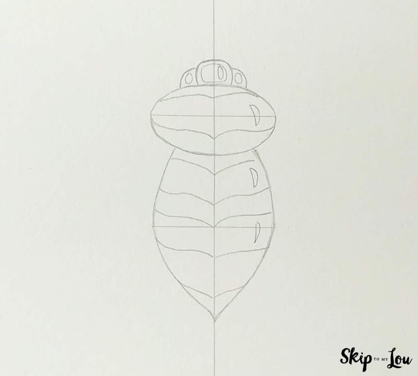 body details for drawing a bee