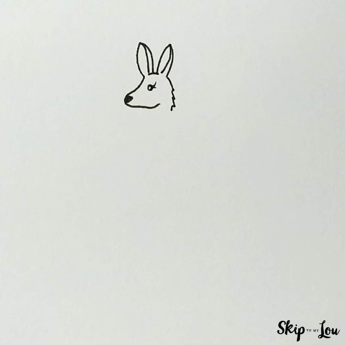 add ears and back scruff how to draw a kangaroo