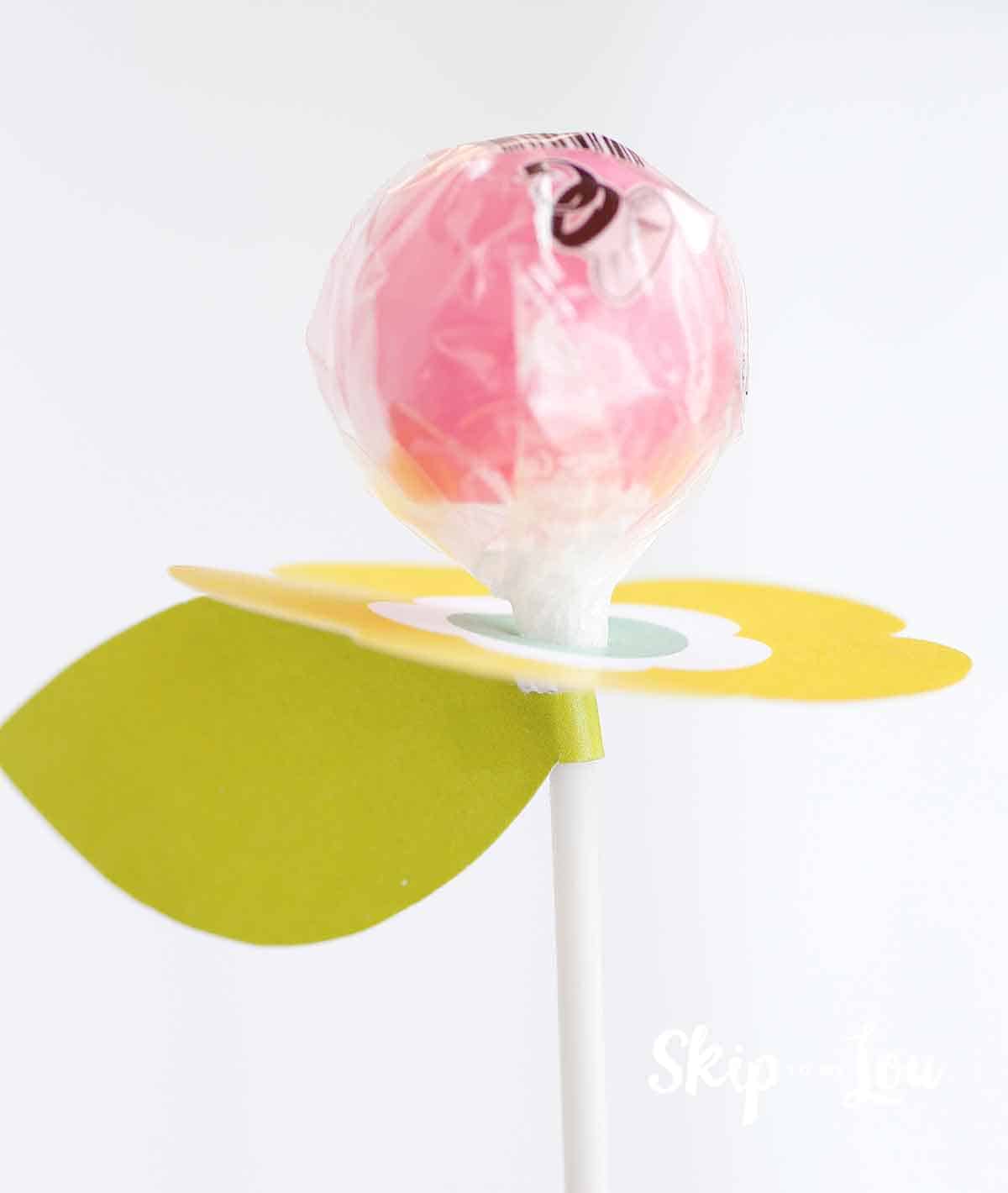 lollipop flower