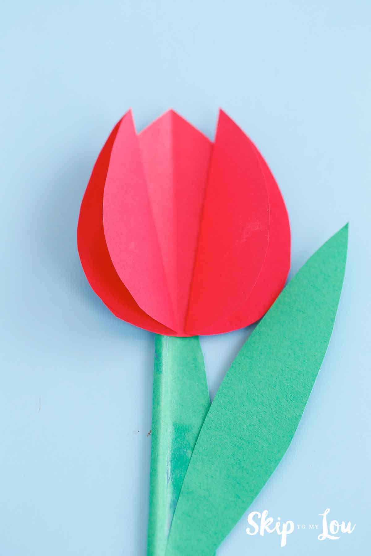 red paper tulip with green stem