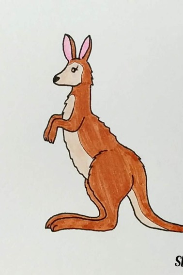 kangaroo drawing