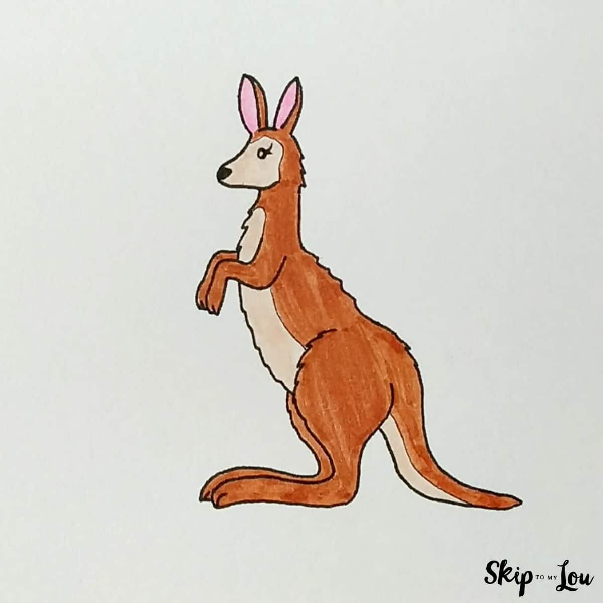 kangaroo drawing