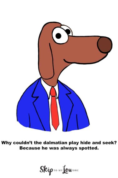 dalmatian dog joke