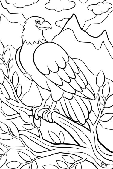 bald eagle on branch