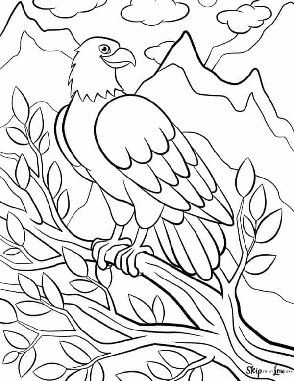 bald eagle on branch