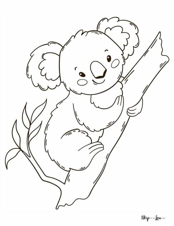 Koala coloring page