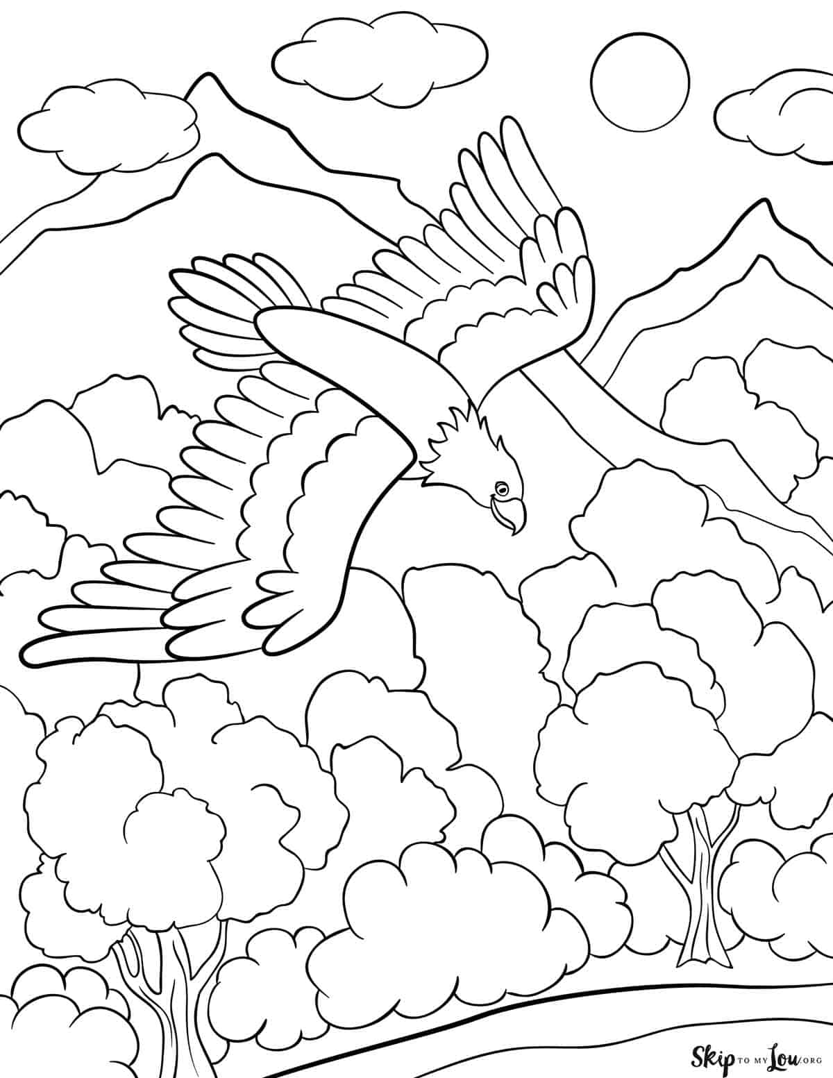 soaring bald eagle coloring page