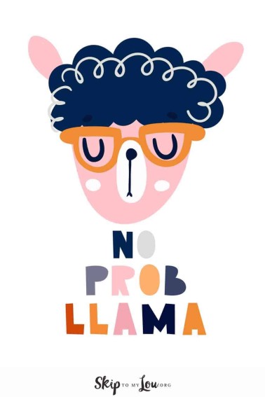 no promllama pet pun