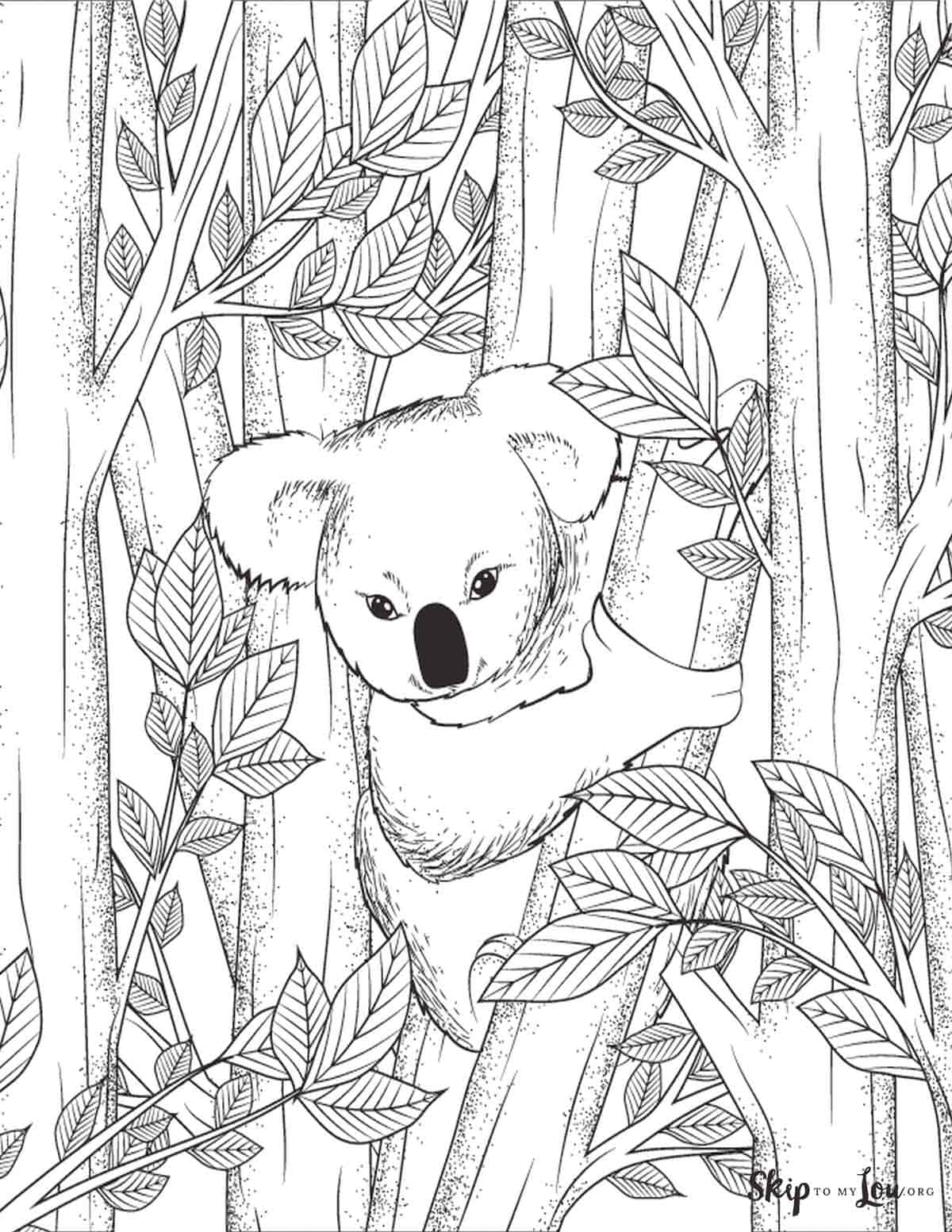 Realistic koala climbing eucalyptus tree